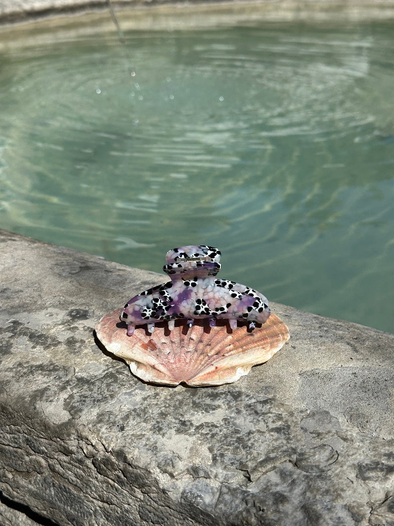 Purple and white pattern hair clip on a shell at a fountain.